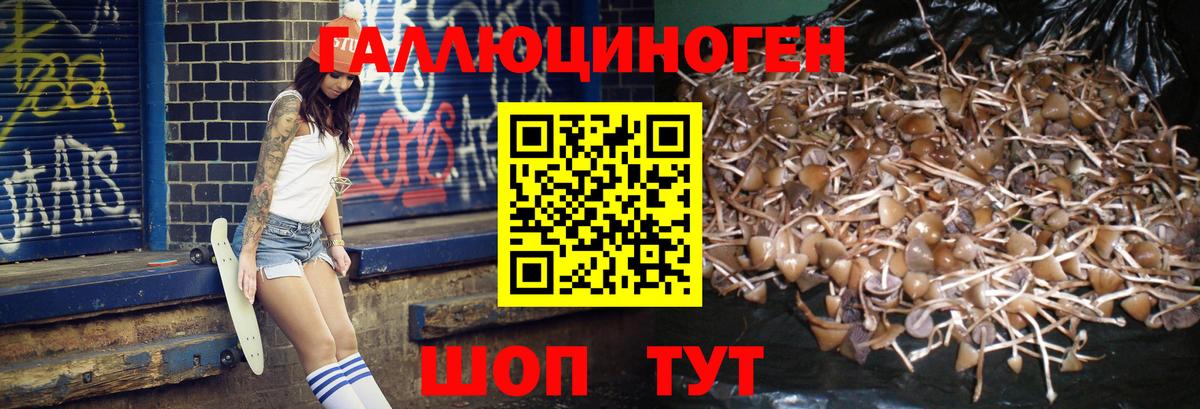 где купить наркоту  Вход с VPN  Людиново  Псилоцибиновые грибы Magic Shrooms 