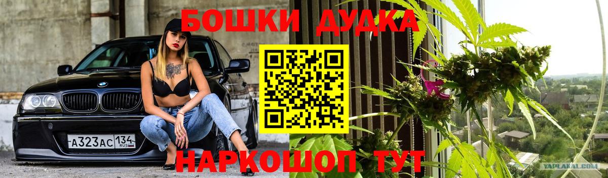 Бошки Шишки White Widow  Каннабис гибрид  Вход с VPN  Марихуана ГИДРОПОН  Людиново 